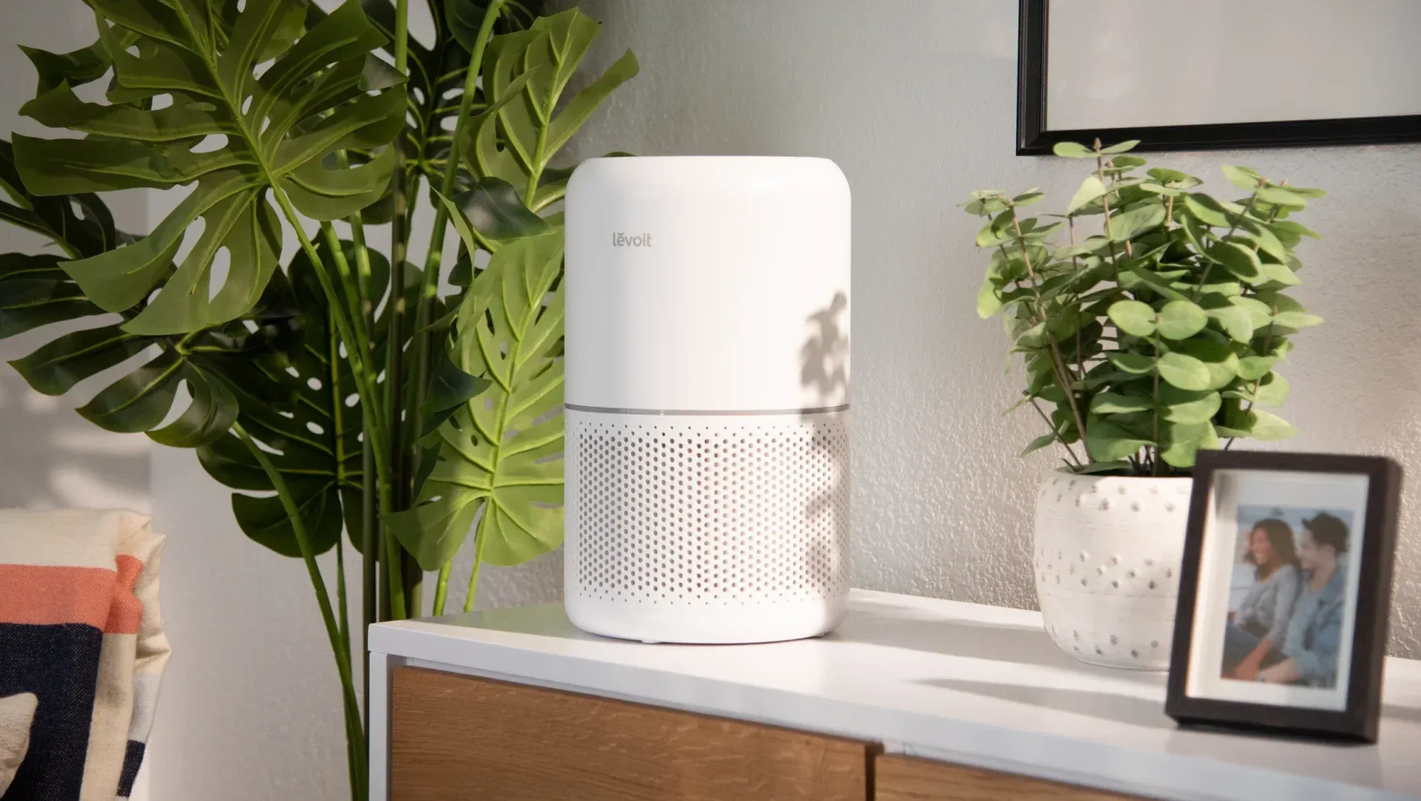 Compact Air Purifier