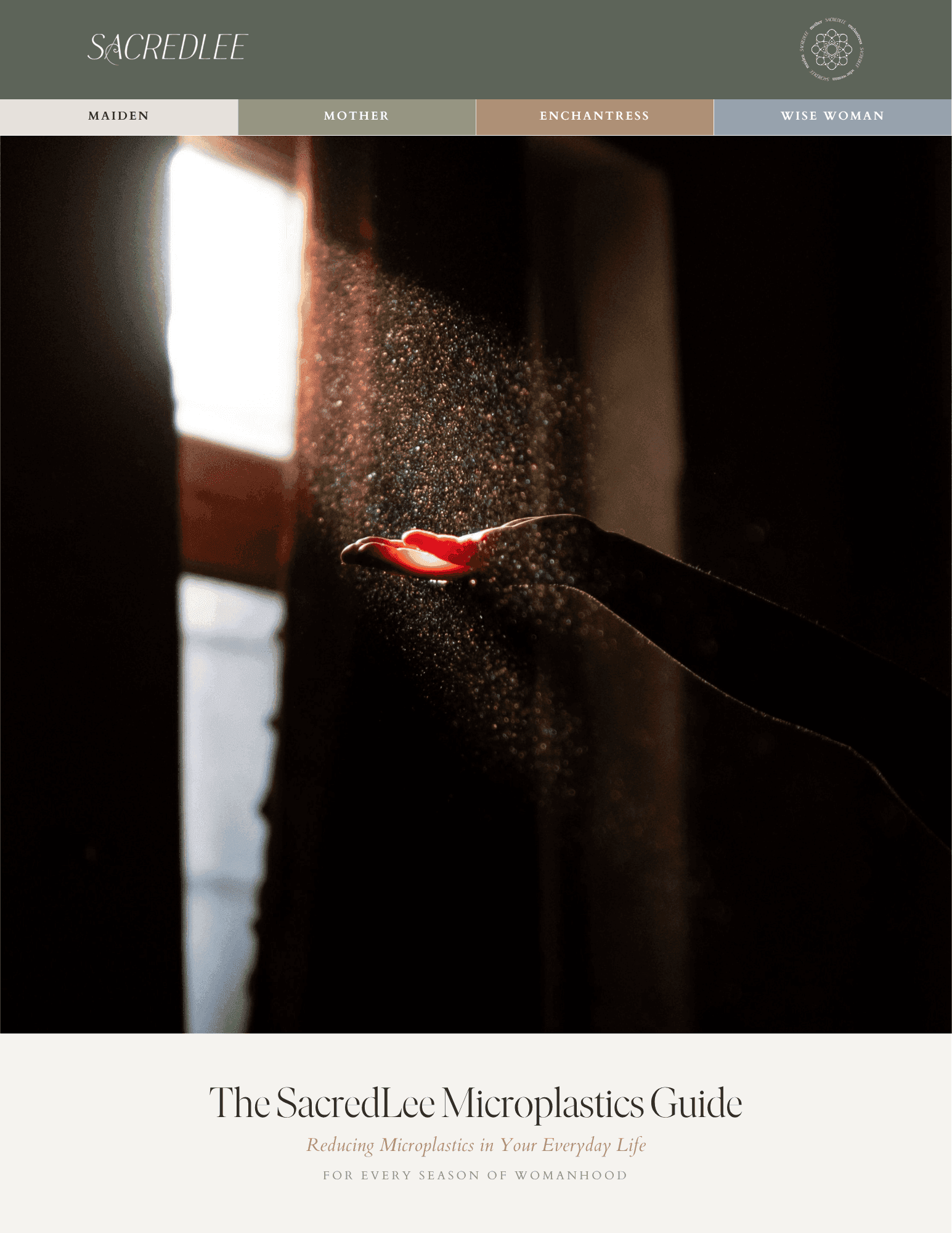 Cover of The Microplastics Guide