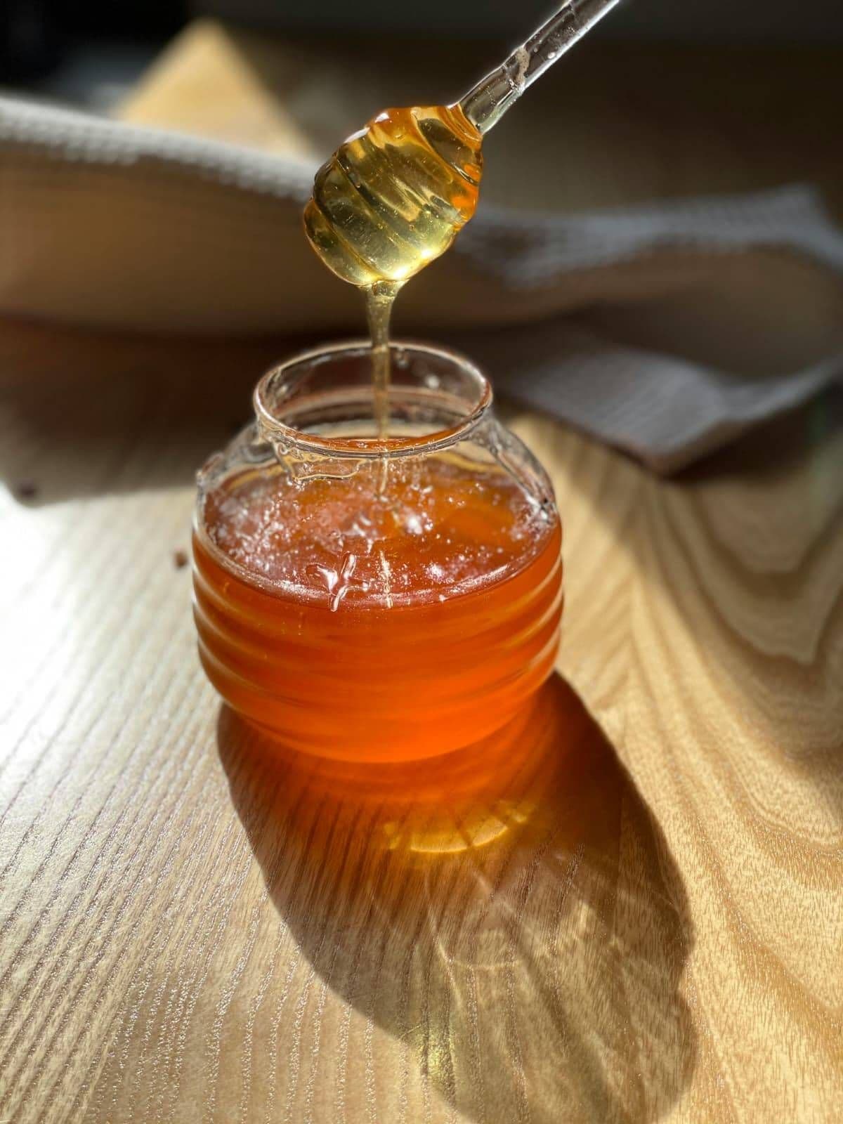 Local Honey, Rooted in Place